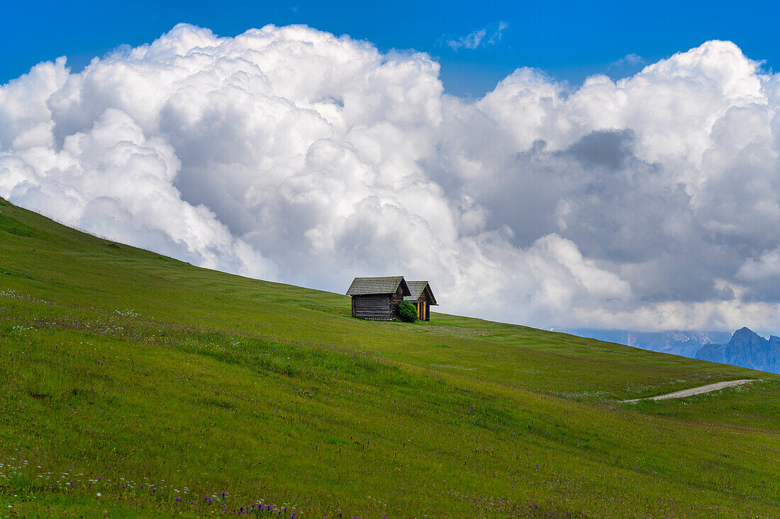Italy, Dolomites, Alto Adige, South Tyrol, Mountain huts near Erbe Pass in Summer
