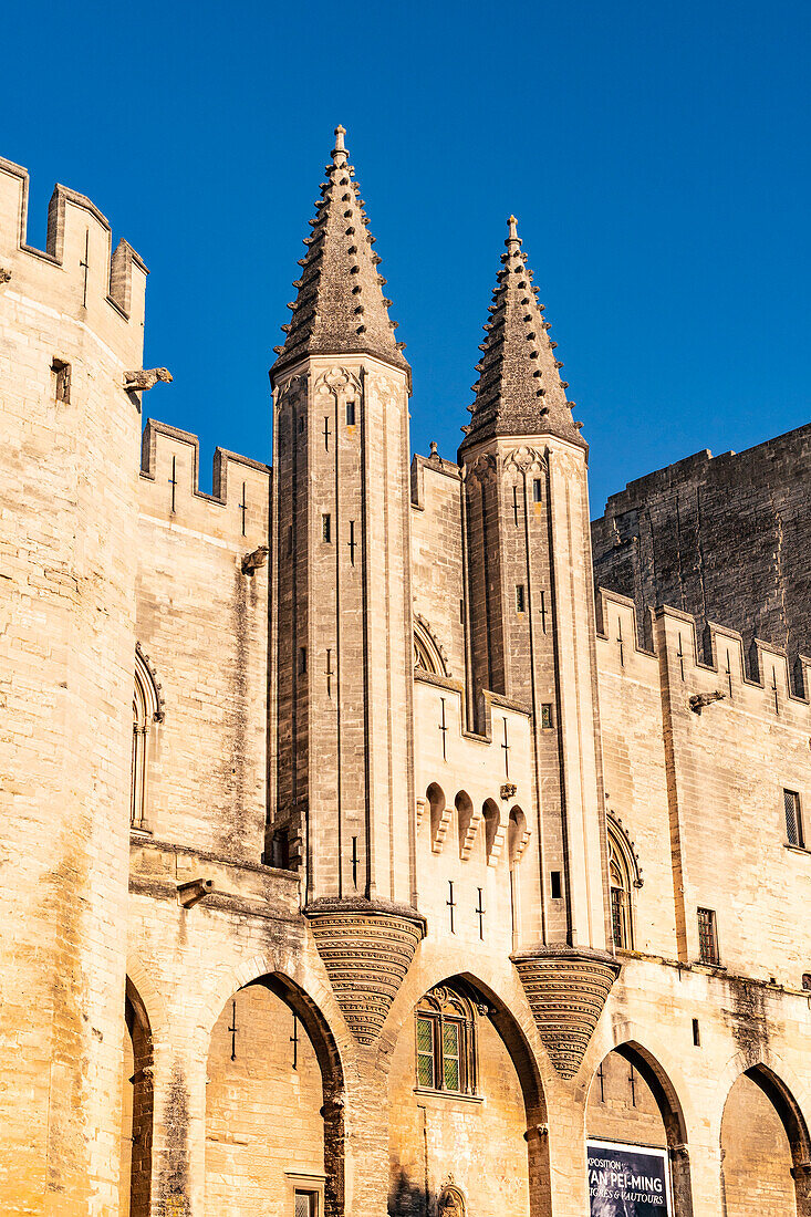 Palais des Papes in the historical centre of Avignon. Avignon, Provence, Cote d'Azur region, France, Europe.