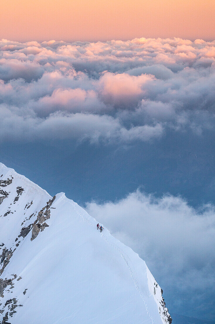 Alpinist along the snow ridge of Aiguille de Bionassay at sunrise. Piton des Italiens, Gonnella refuge, Veny valley, Aosta Valley, Mount Blanc Group; Alps, Italy, Europe.
