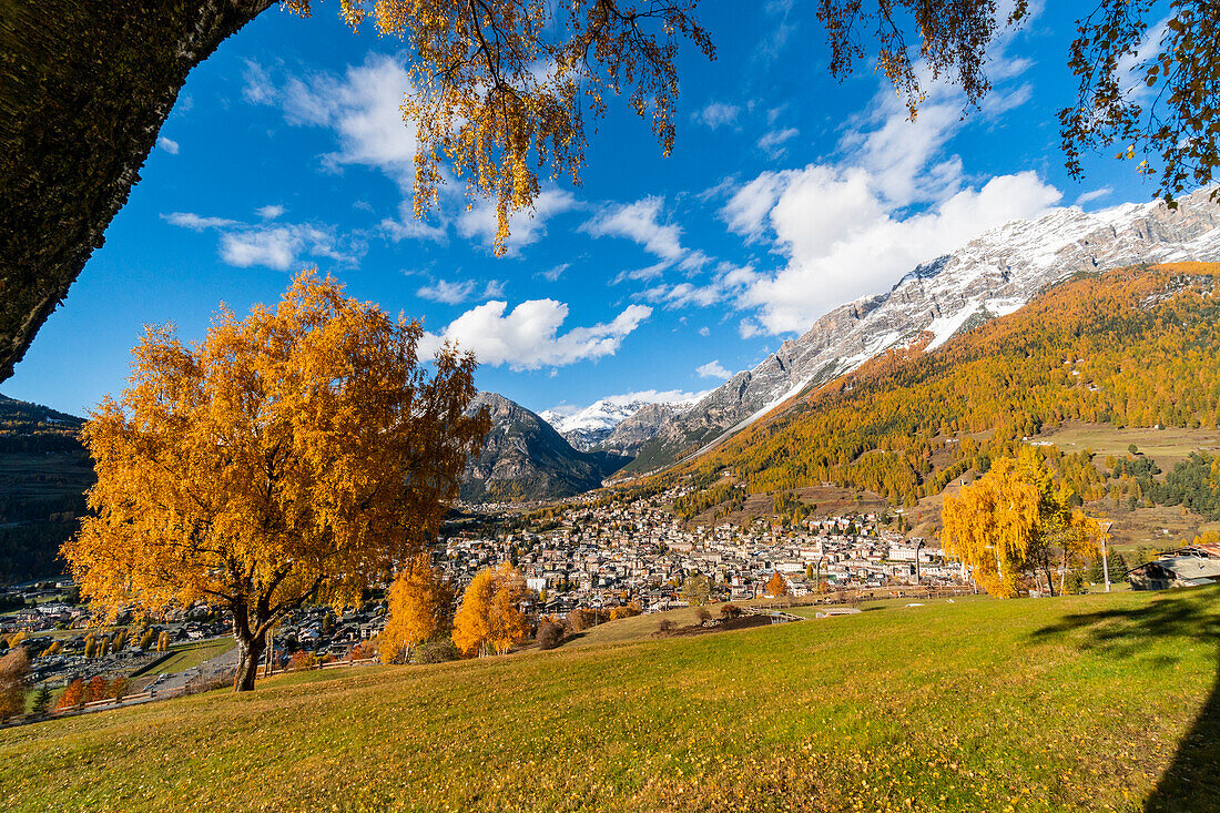 Das Dorf Bormio in den Bergen während der Herbstfarben, Bezirk Sondrio, Lombardei, Alpen, Italien, Europa.