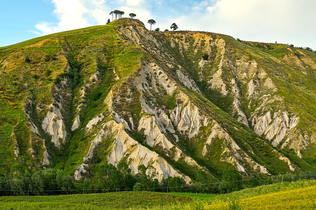 Regionales Naturreservat "Calanchi". Atri, Region Abruzzen, Italien, Europa