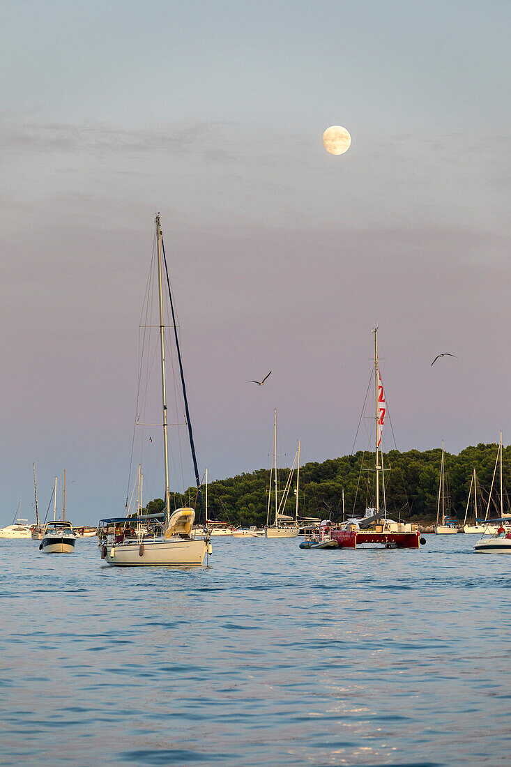 Segelboote, die bei Sonnenuntergang an den Lerins-Inseln (Iles de Lerins) festgemacht haben, Cannes, Grasse, Departement Alpes-Maritimes, Region Provence-Alpes-Cote d'Azur, Frankreich, Europa