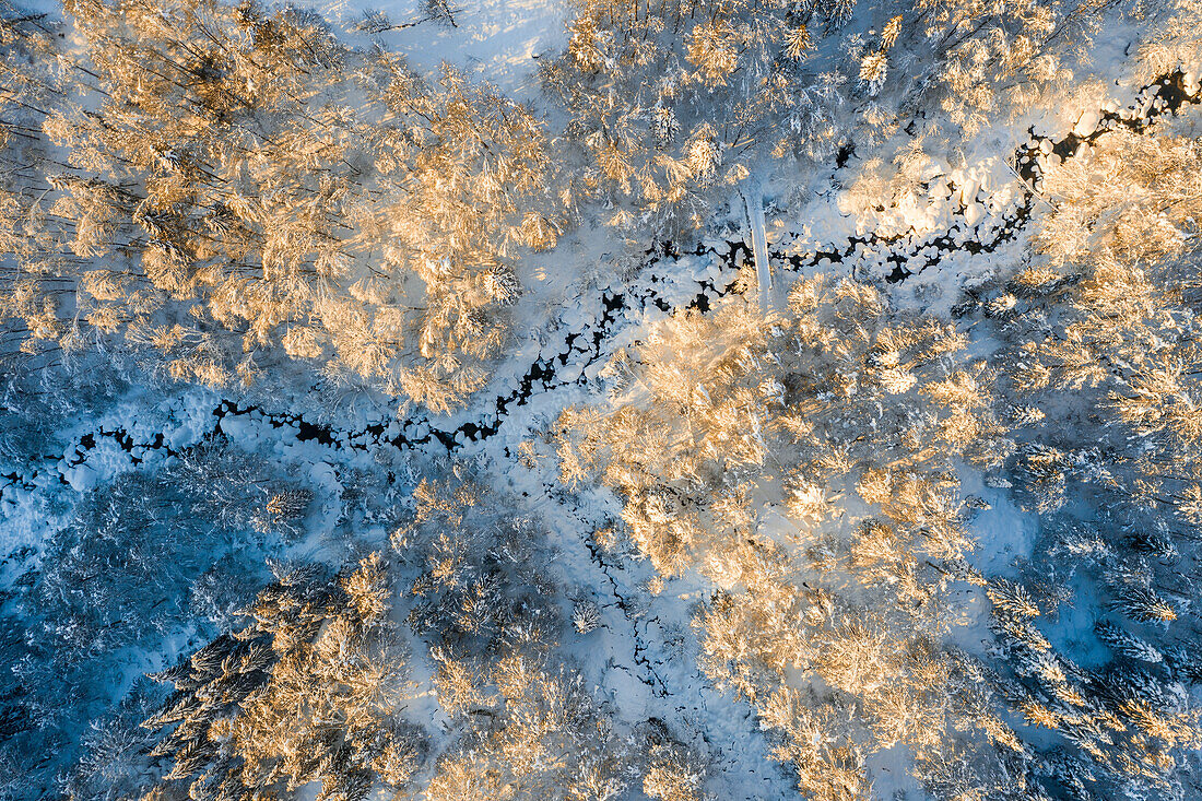 Luftaufnahme eines Baches und eines Waldes in den Bergen von Biella nach starkem Schneefall bei Sonnenaufgang (Oropa, Provinz Biella, Piemont, Italien, Europa)