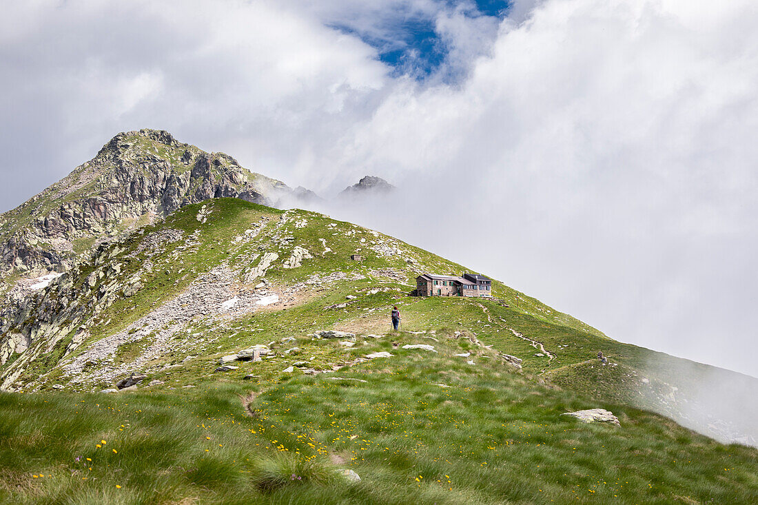 Ein Mädchen wandert auf dem Höhenweg Nr. 1 des Aostatals in Richtung der Coda-Hütte (Pollone, Provinz Biella, Piemont, Italien, Europa) (MR)