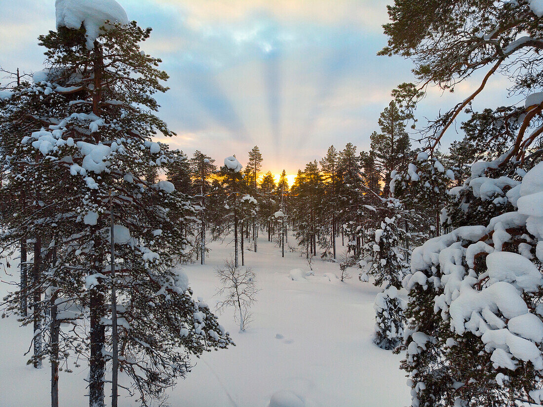 Europe, Finland, Saariselka, Aerial view of the forest at sunset