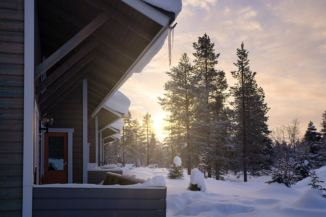 Europe, Finland, Saariselka, Sunrise in the forest