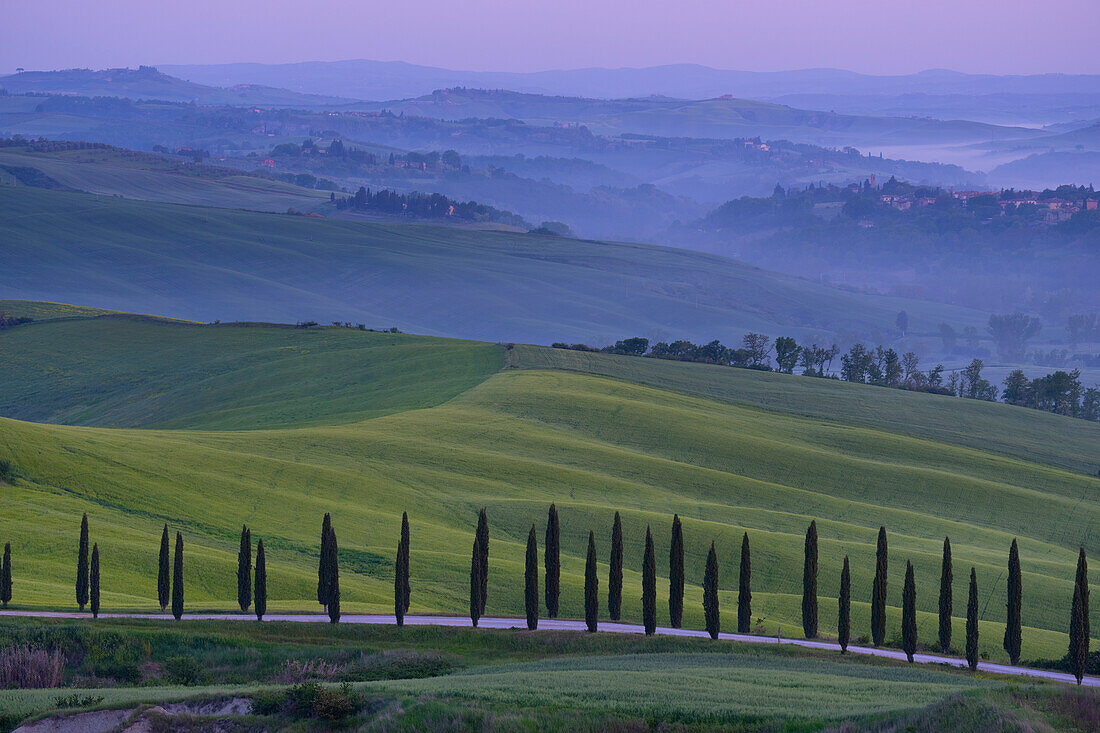 Italien, Toskana, Orciatal, Wiesen zur blauen Stunde im Frühling