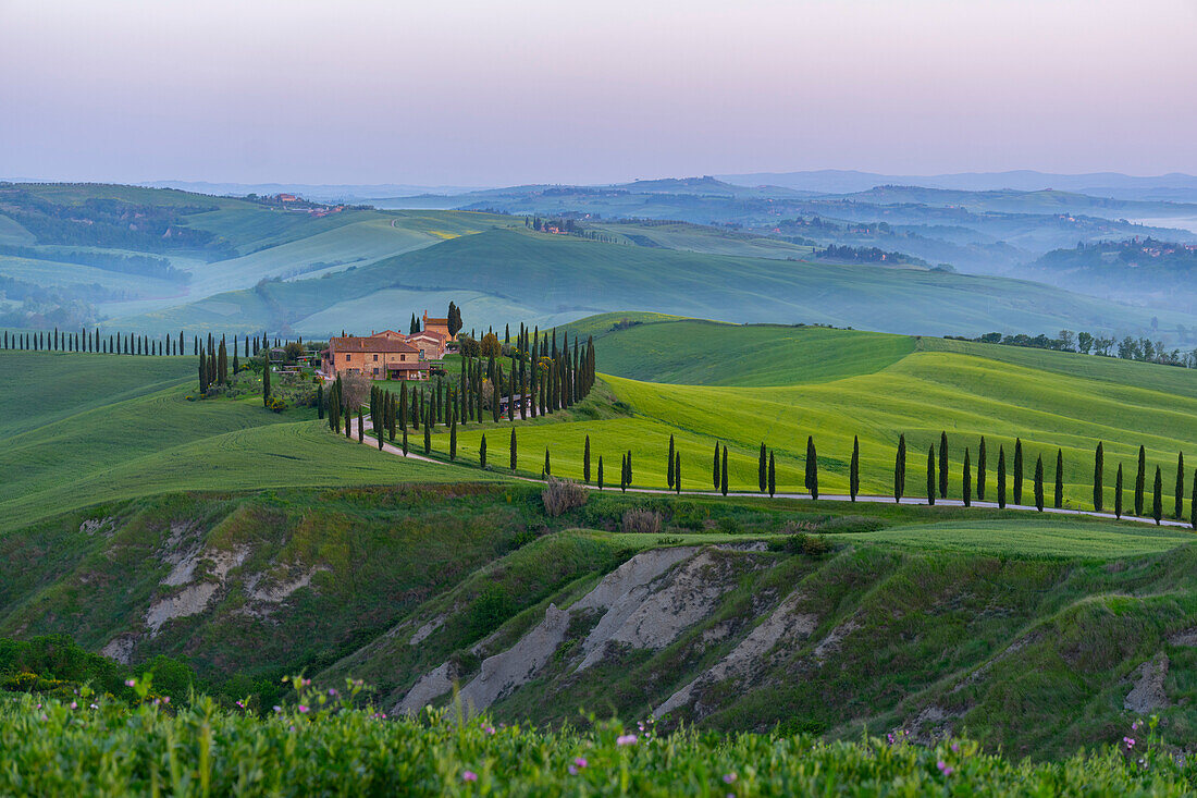 Italy, Tuscany, Orcia Valley, Cottage at sunrise in Spring