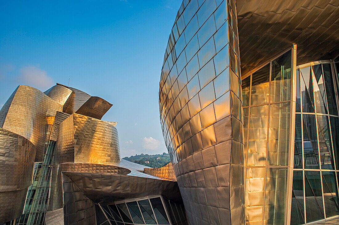 detail, Guggenheim Museum, Bilbao, Spain