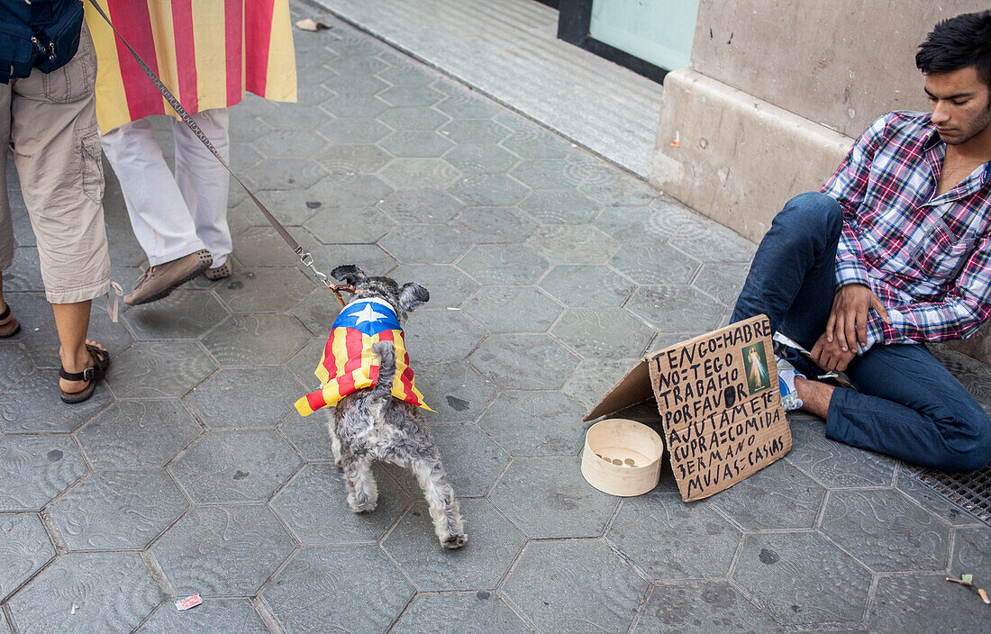 Politische Demonstration für die Unabhängigkeit Kataloniens. Passeig de Gracia.19. Oktober 2014. Barcelona. Katalonien. Spanien.