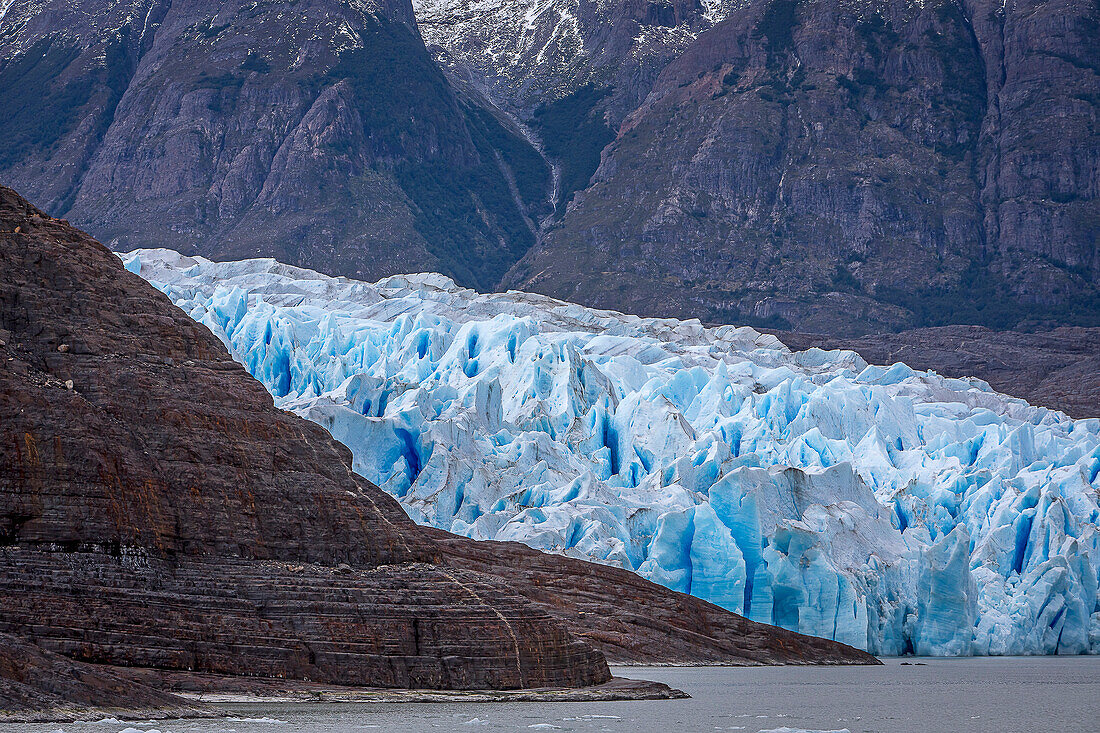 Detail, Grey Glacier, in Grey Lake, Torres del Paine national park, Patagonia, Chile