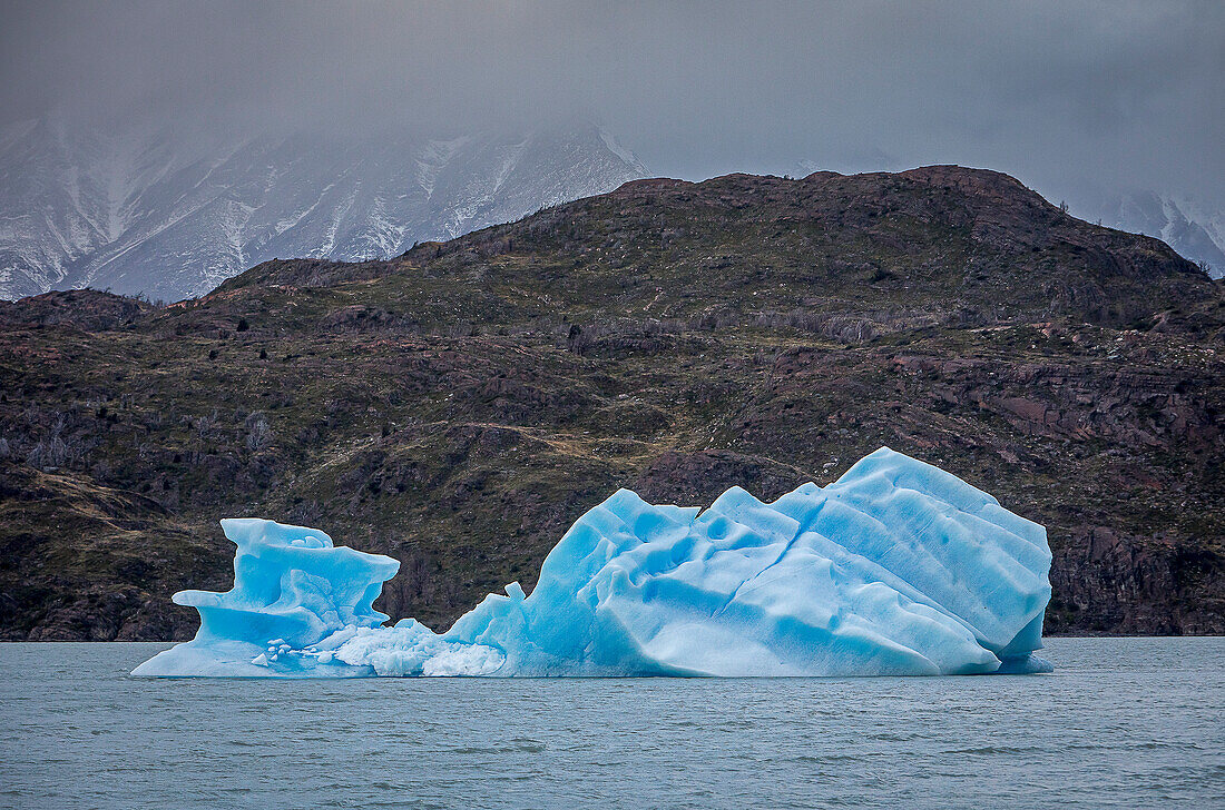 Grey Lake, Eisberg, der sich vom Grey Glacier gelöst hat, Torres del Paine Nationalpark, Patagonien, Chile