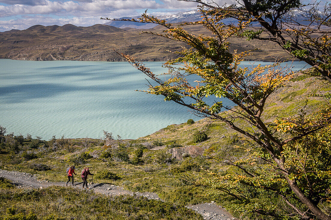 Wanderer in der Nähe des Lago Nordenskjöld, Torres del Paine Nationalpark, Patagonien, Chile