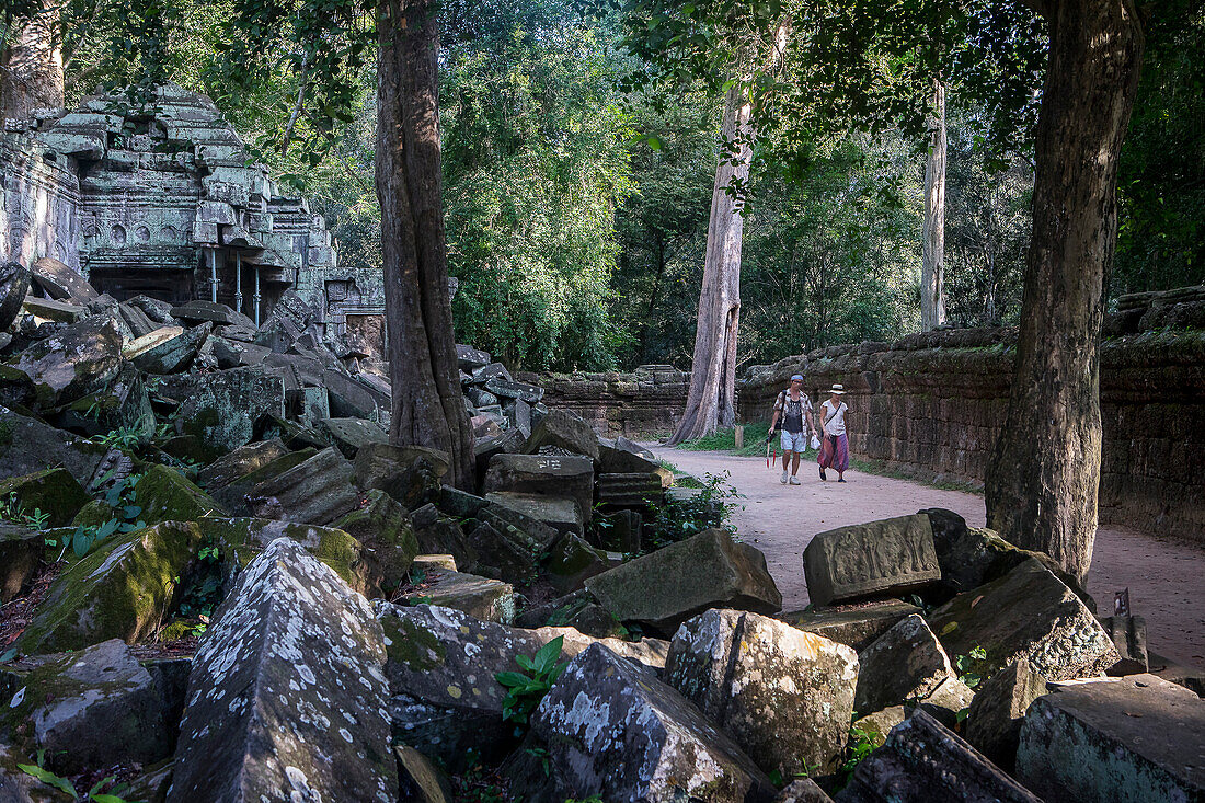 Ta Prohm temple, Angkor Archaeological Park, Siem Reap, Cambodia