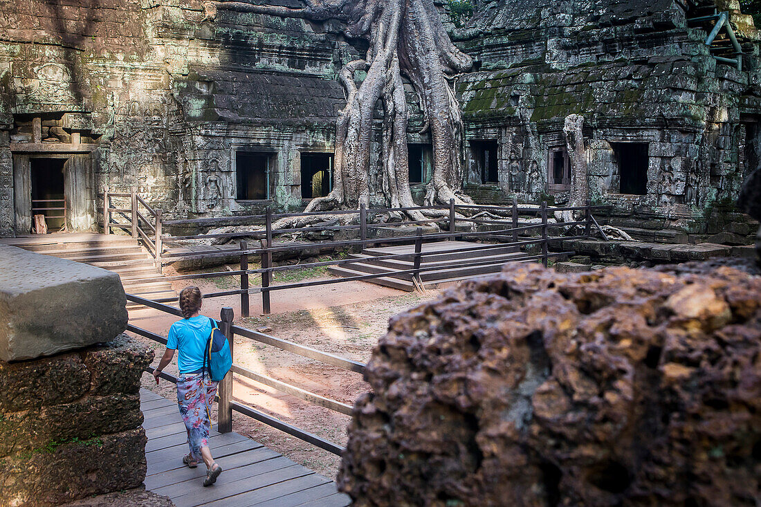 Ta-Prohm-Tempel, Archäologischer Park von Angkor, Siem Reap, Kambodscha