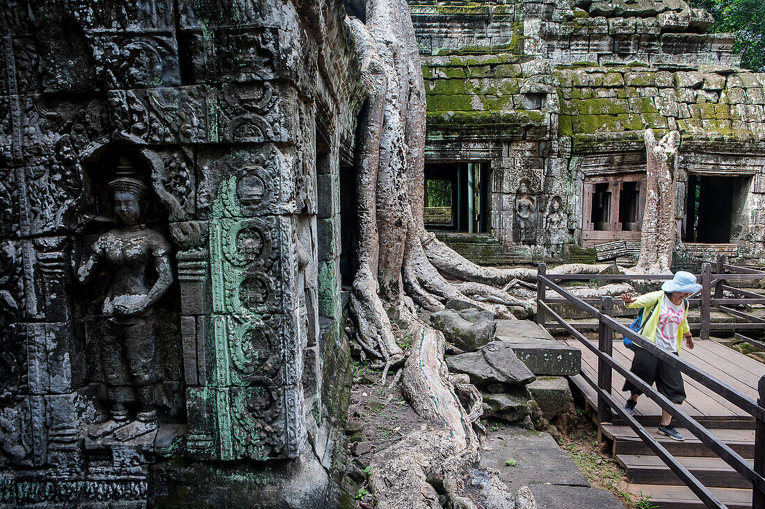 Ta-Prohm-Tempel, Archäologischer Park von Angkor, Siem Reap, Kambodscha