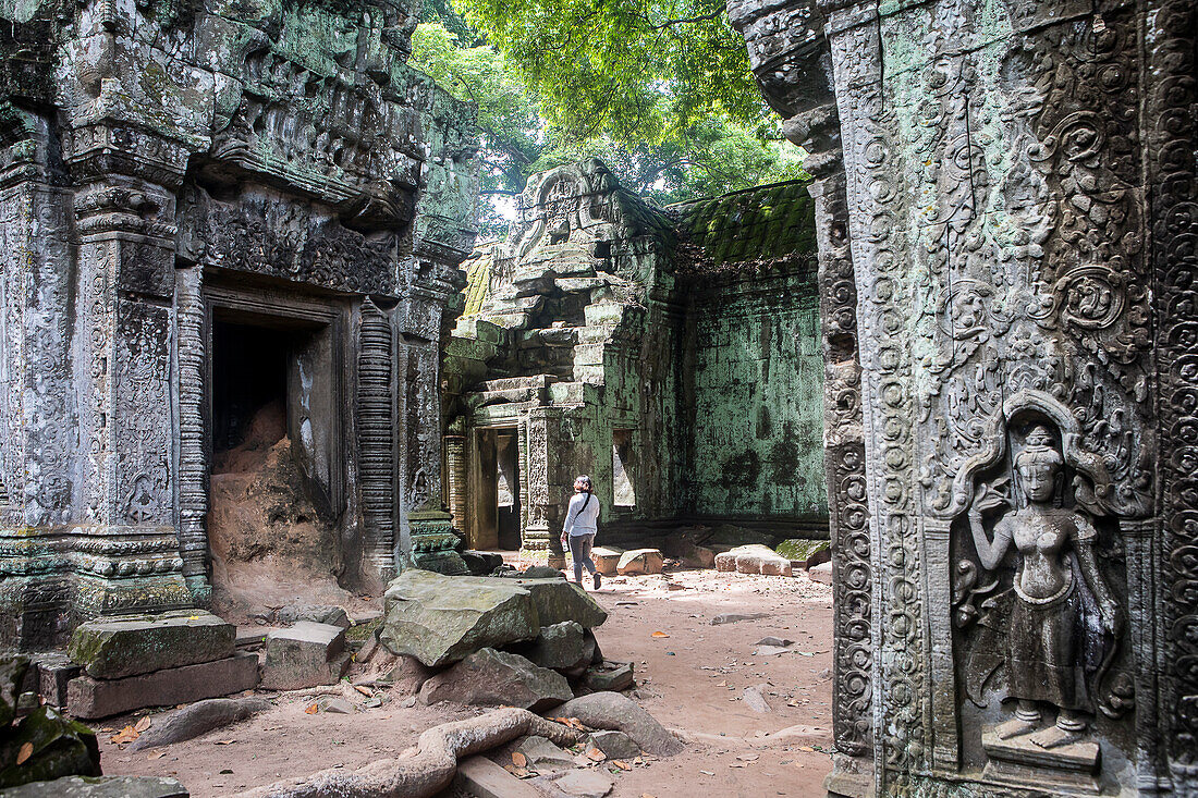 Ta Prohm temple, Angkor Archaeological Park, Siem Reap, Cambodia