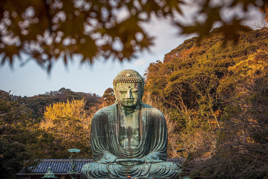 Der Daibutsu (großer Buddha aus Bronze). Kotoku-in-Tempel, Kamakura, Japan