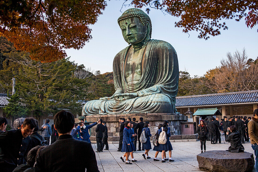 Der Daibutsu (Großer Buddha aus Bronze). Kotoku-in-Tempel, Kamakura, Japan