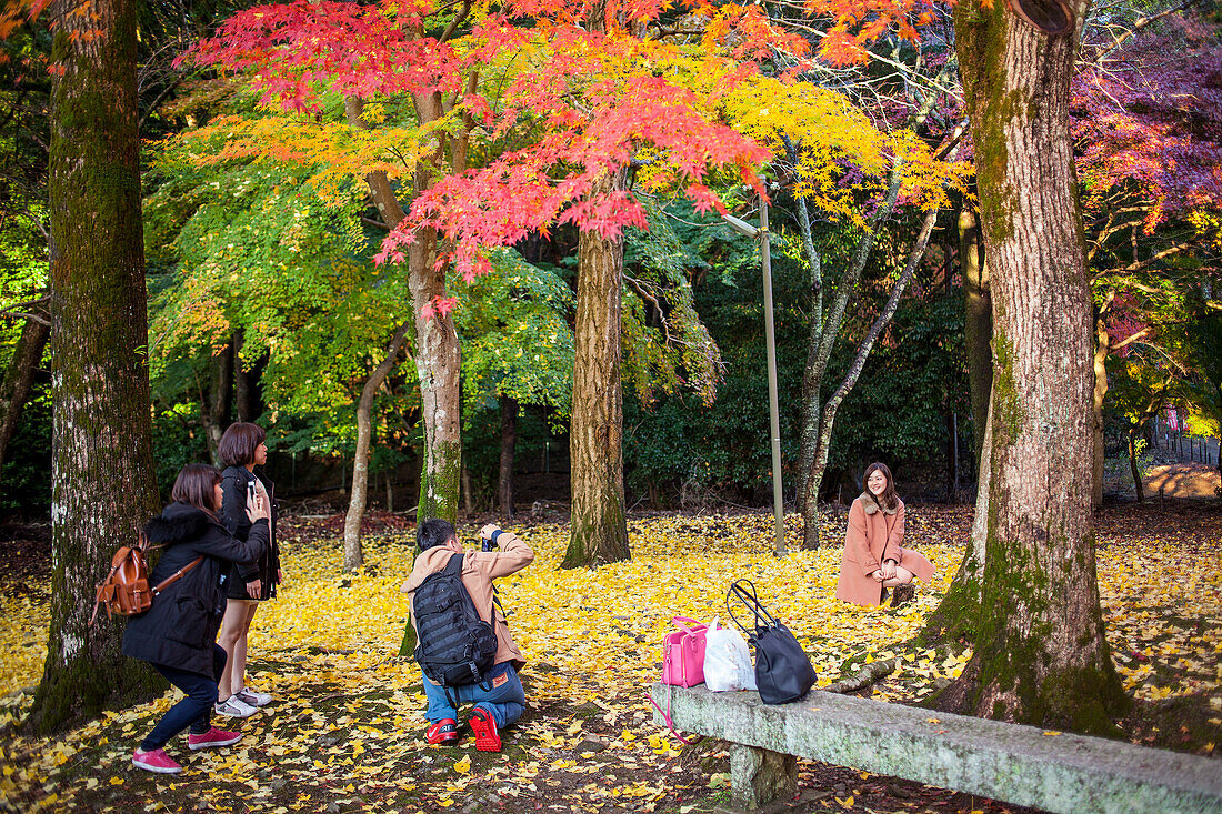 Der Garten des Daigo-ji-Tempels, Kyoto-Stadt, Kansai, Japan