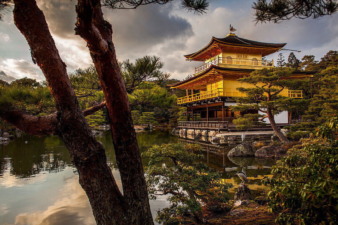 Kinkakuji temple,golden Pavilion,UNESCO World Heritage Site,Kyoto, Japan