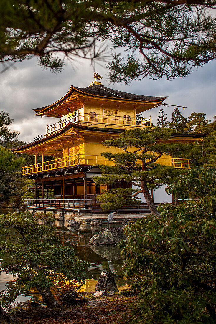 Kinkakuji-Tempel, goldener Pavillon, UNESCO-Weltkulturerbe, Kyoto, Japan