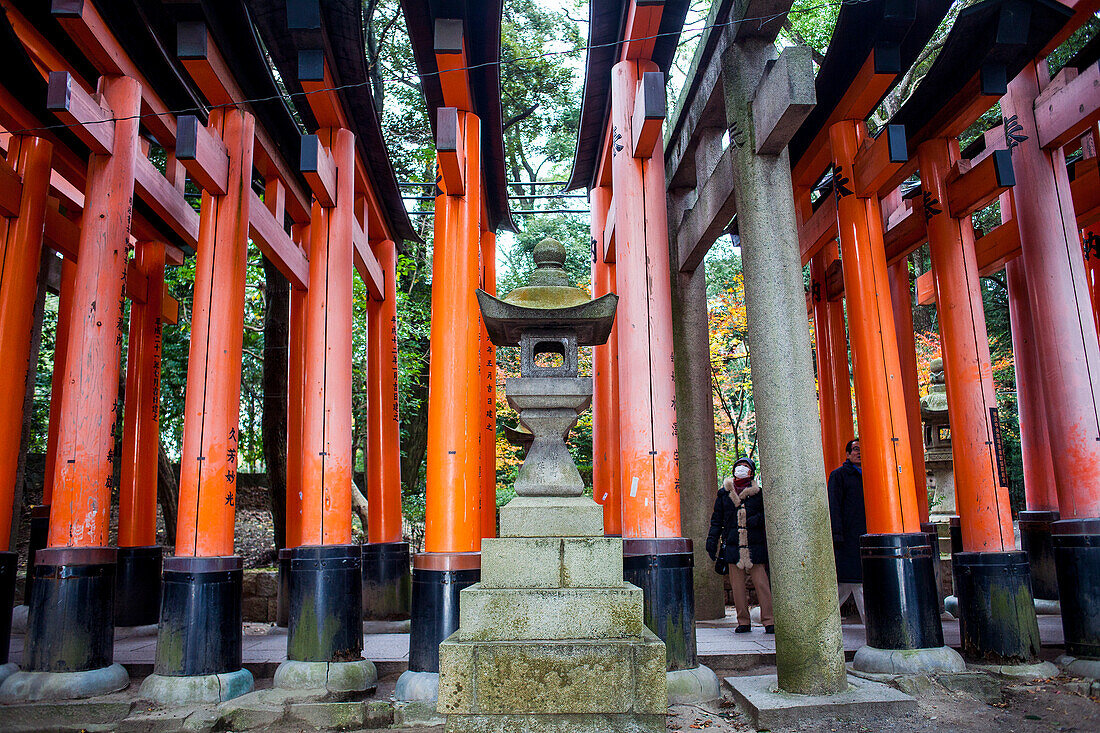Torii-Tore im Heiligtum Fushimi Inari-Taisha, Kyoto, Japan