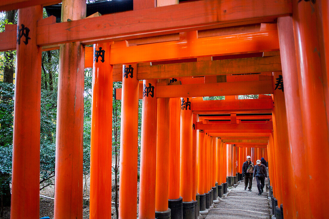 Torii gates at Fushimi Inari-Taisha sanctuary,Kyoto, Japan