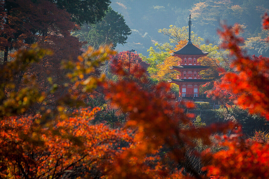 Pagoda, in Kiyomizu-dera temple, Kyoto. Kansai, Japan.