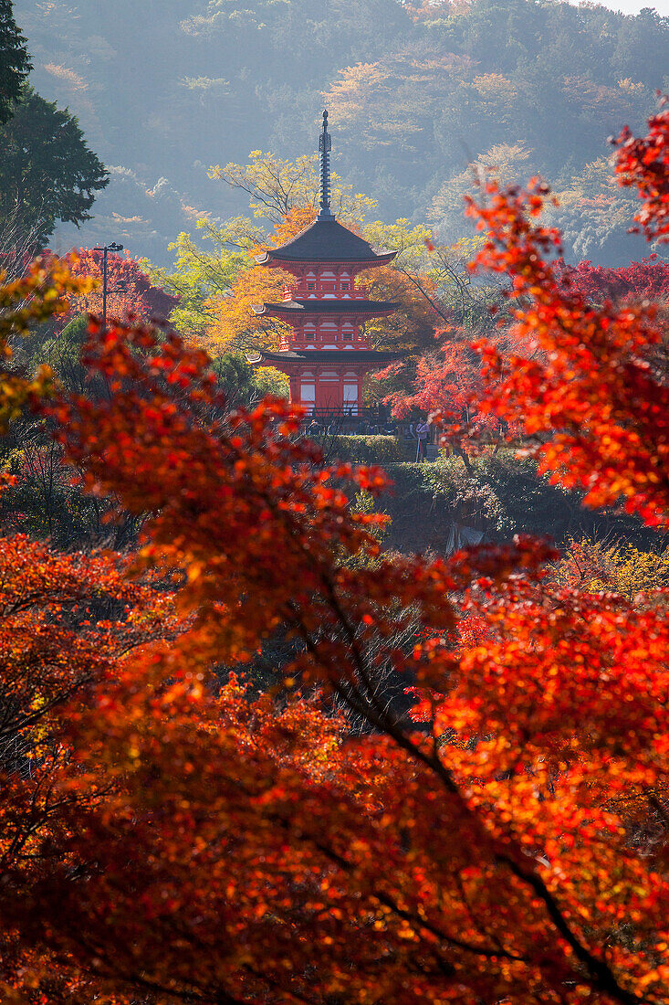 Pagoda, in Kiyomizu-dera temple, Kyoto. Kansai, Japan.