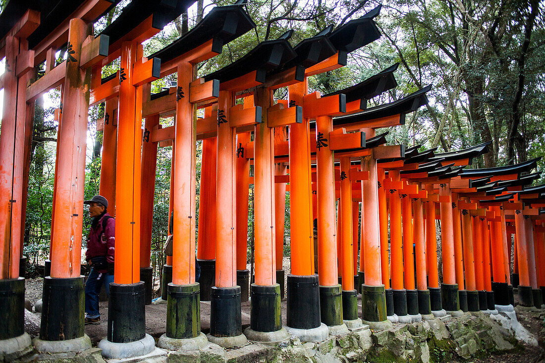 Torii gates at Fushimi Inari-Taisha sanctuary,Kyoto, Japan