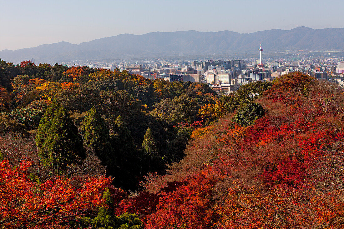 Kyoto. Kansai, Japan.