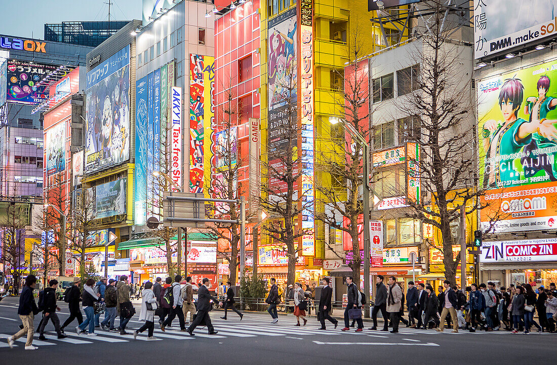 Straßenszene in der Chuo Dori Straße, Akihabara, Tokio, Japan