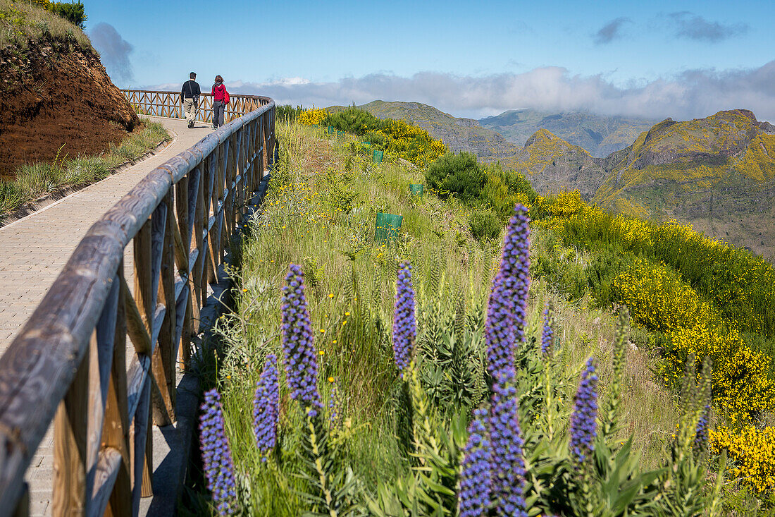 Lookout, Miradouro do paredao, Madeira, Portugal