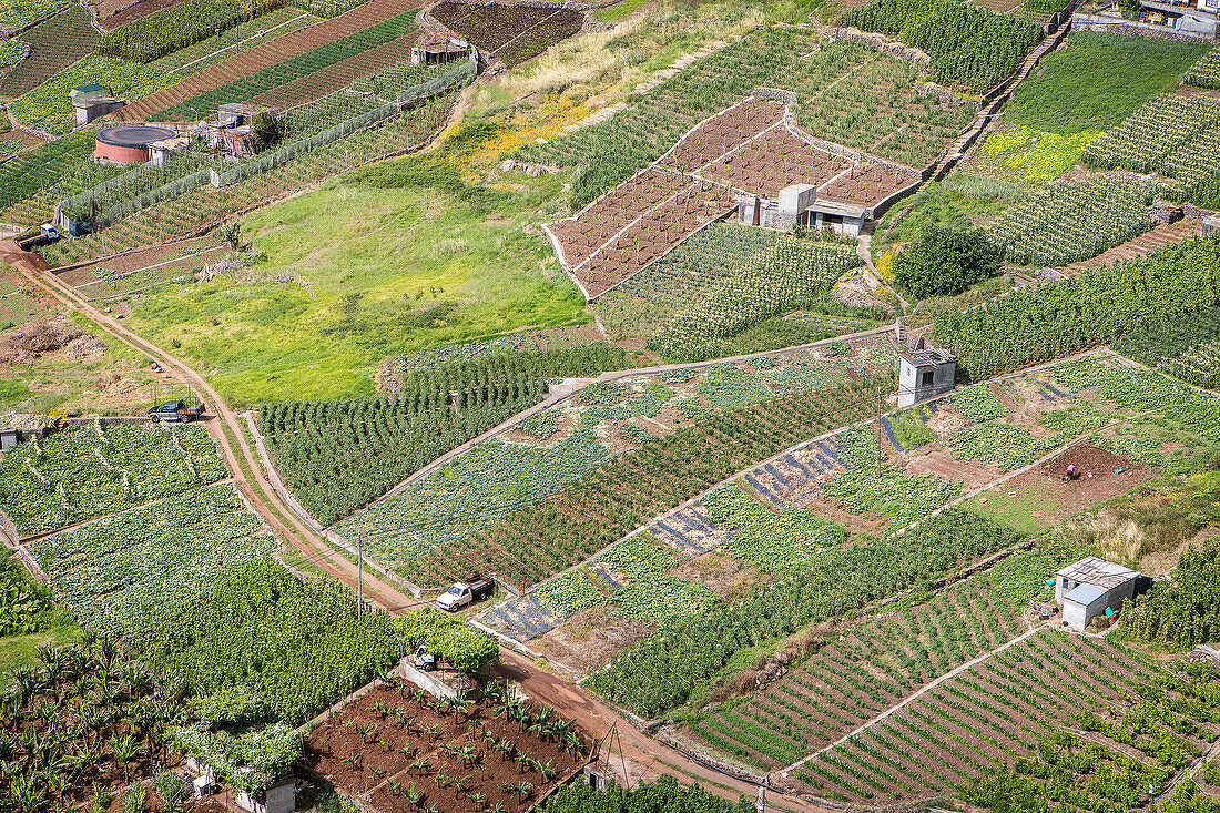 Landwirtschaftliche Landschaft, um Camara de Lobos, Madeira, Portugal