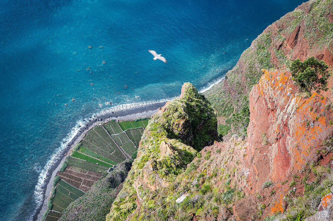Landscape from Miradouro do Cabo Girao, Madeira, Portugal