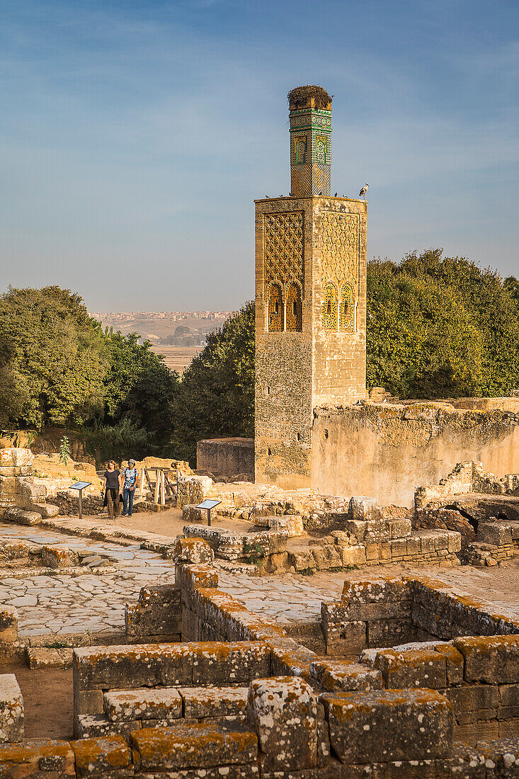 Chellah, archäologische Stätte, im Hintergrund das Minarett der Abu Yusuf Yaq'ub Moschee, Rabat, Marokko,