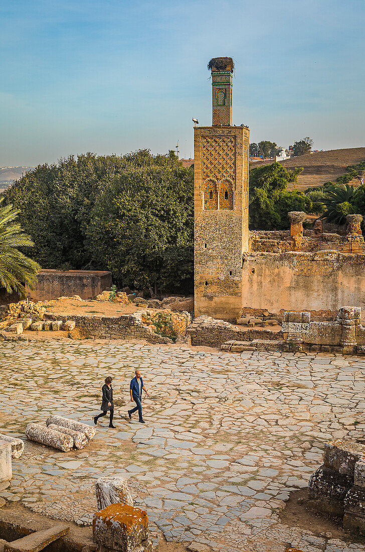 Chellah, archäologische Stätte, im Hintergrund das Minarett der Abu Yusuf Yaq'ub Moschee, Rabat, Marokko,