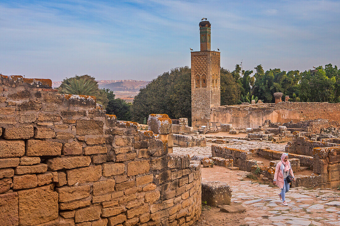 Chellah, archäologische Stätte, im Hintergrund das Minarett der Abu-Yusuf-Yaq'ub-Moschee, Rabat, Marokko,