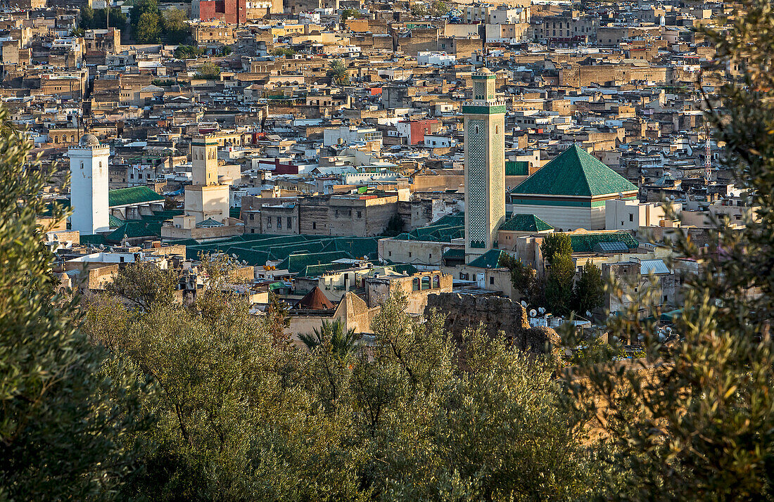 Fez. Morocco