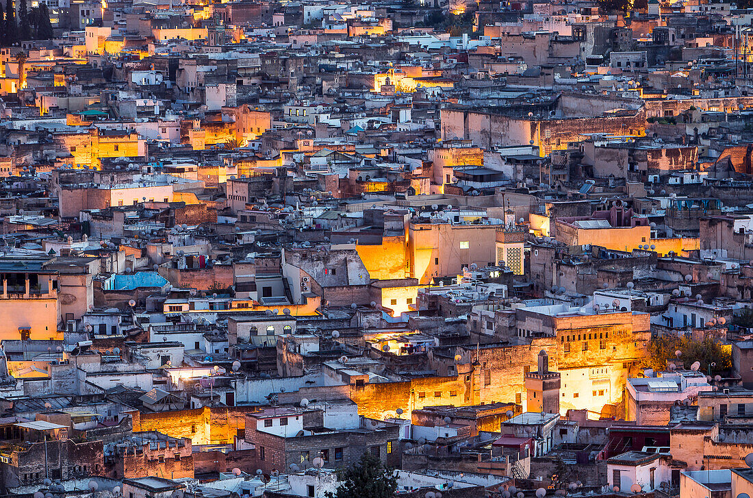 Roofs of the medina, Fez. Morocco
