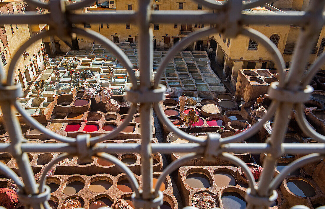 Chouwara tanneries. Fez. Morocco