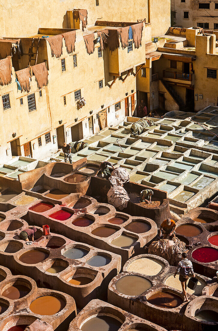 Chouwara tanneries. Fez. Morocco