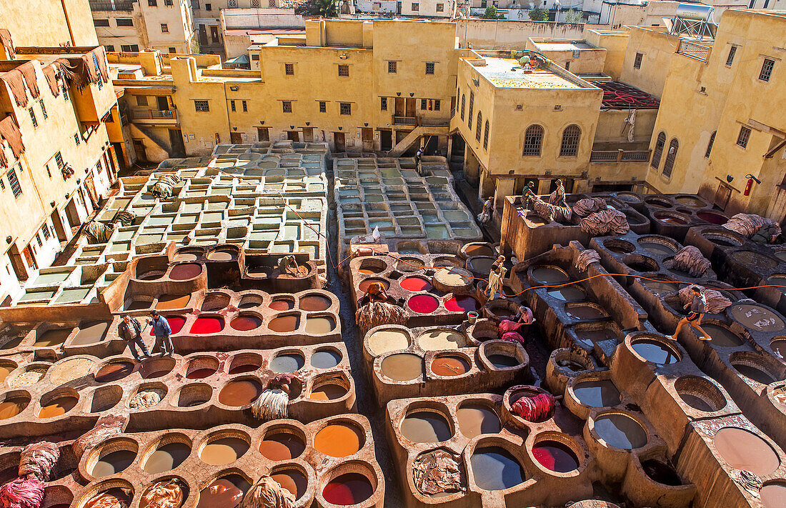 Chouwara tanneries. Fez. Morocco