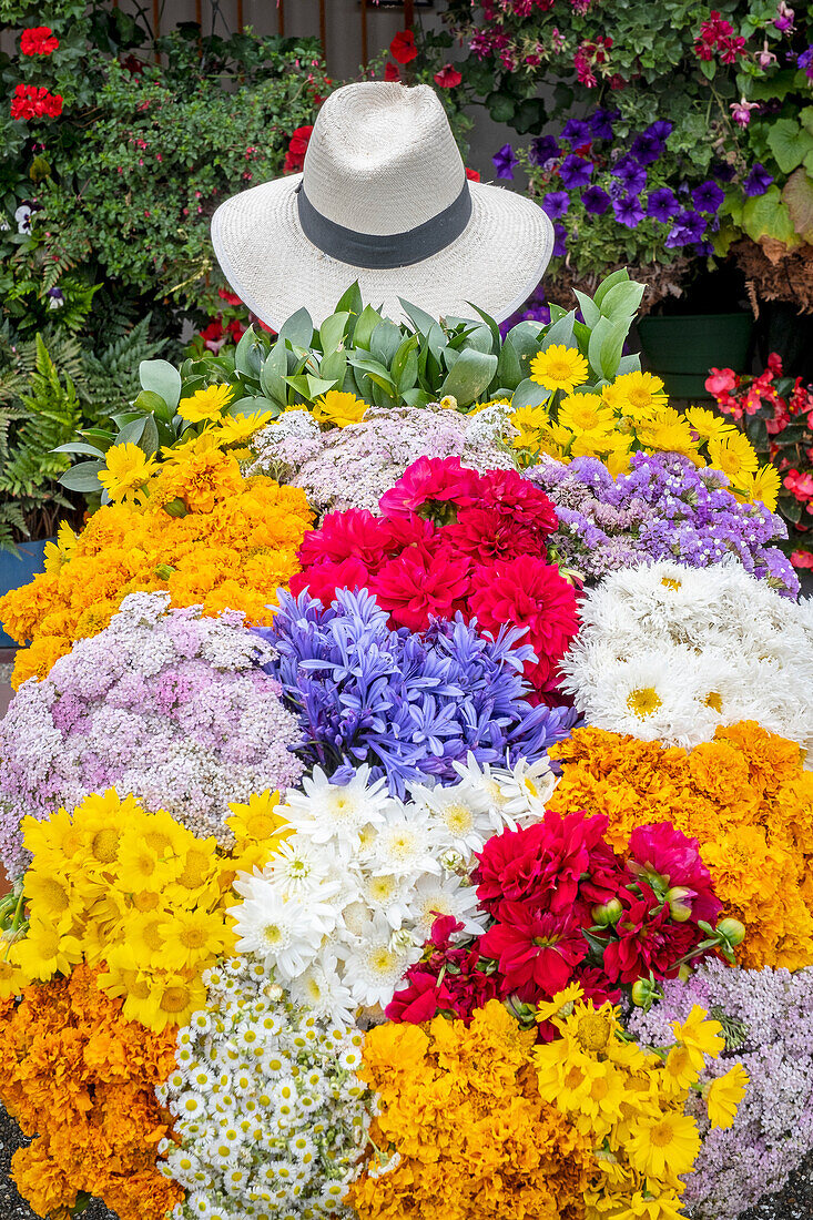 Silletero, flower farmer, Finca, silletera, farm, Vereda Barro Blanco, Sector El Rosario, Medellín, Colombia