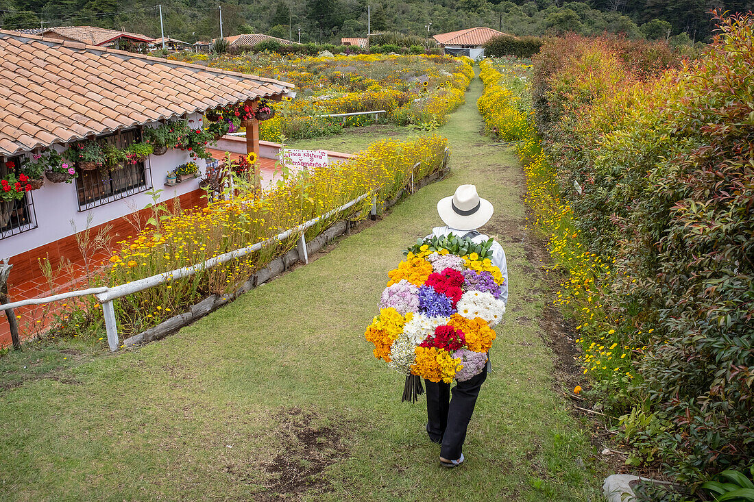 Silletero, Blumenzüchter, Finca, silletera, Bauernhof, Vereda Barro Blanco, Sektor El Rosario, Medellín, Kolumbien