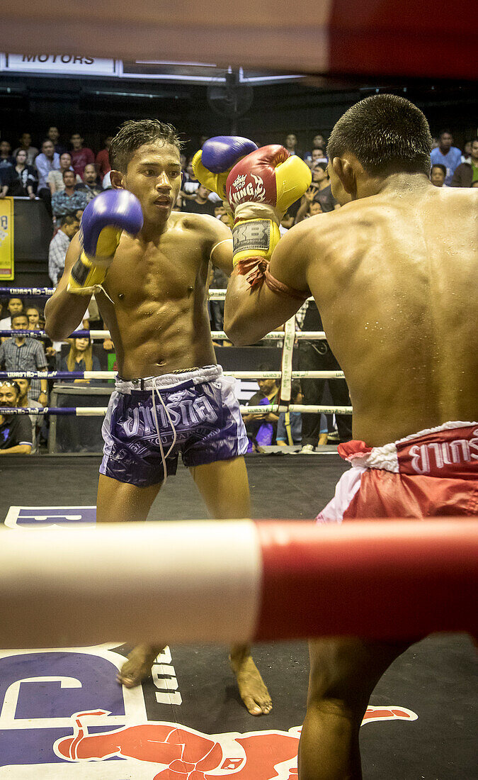 Muay Thai boxers fighting, Bangkok, Thailand