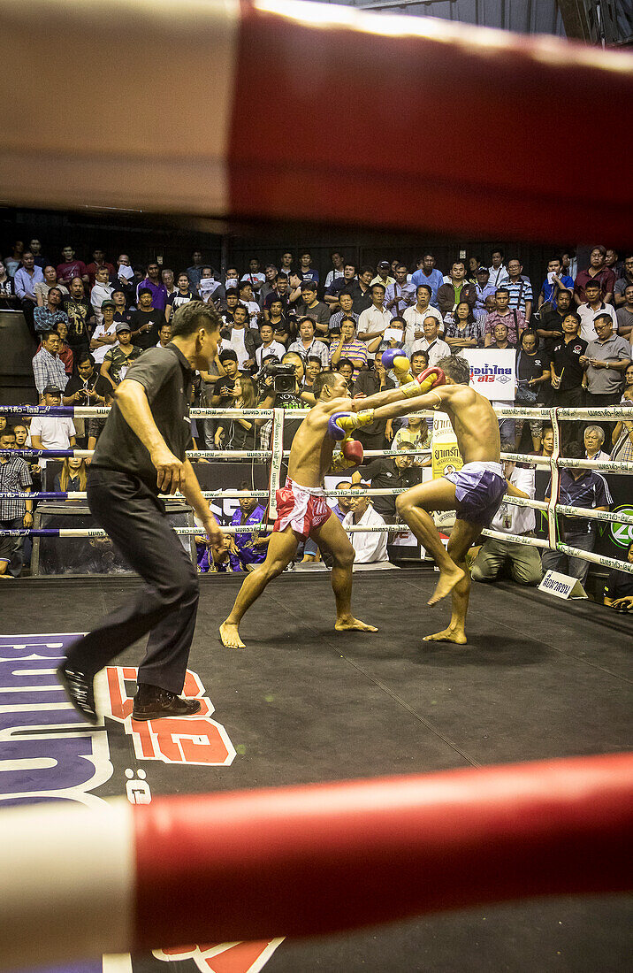 Muay-Thai-Boxer beim Kampf, Bangkok, Thailand