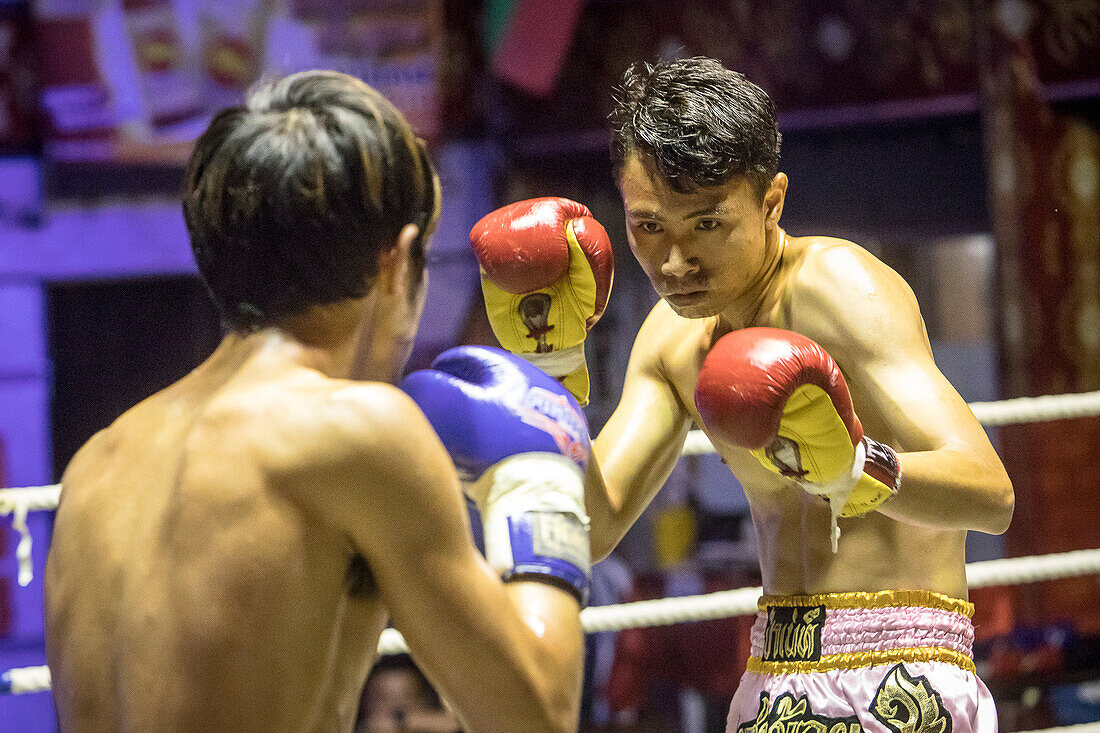 Muay Thai boxers fighting, Bangkok, Thailand