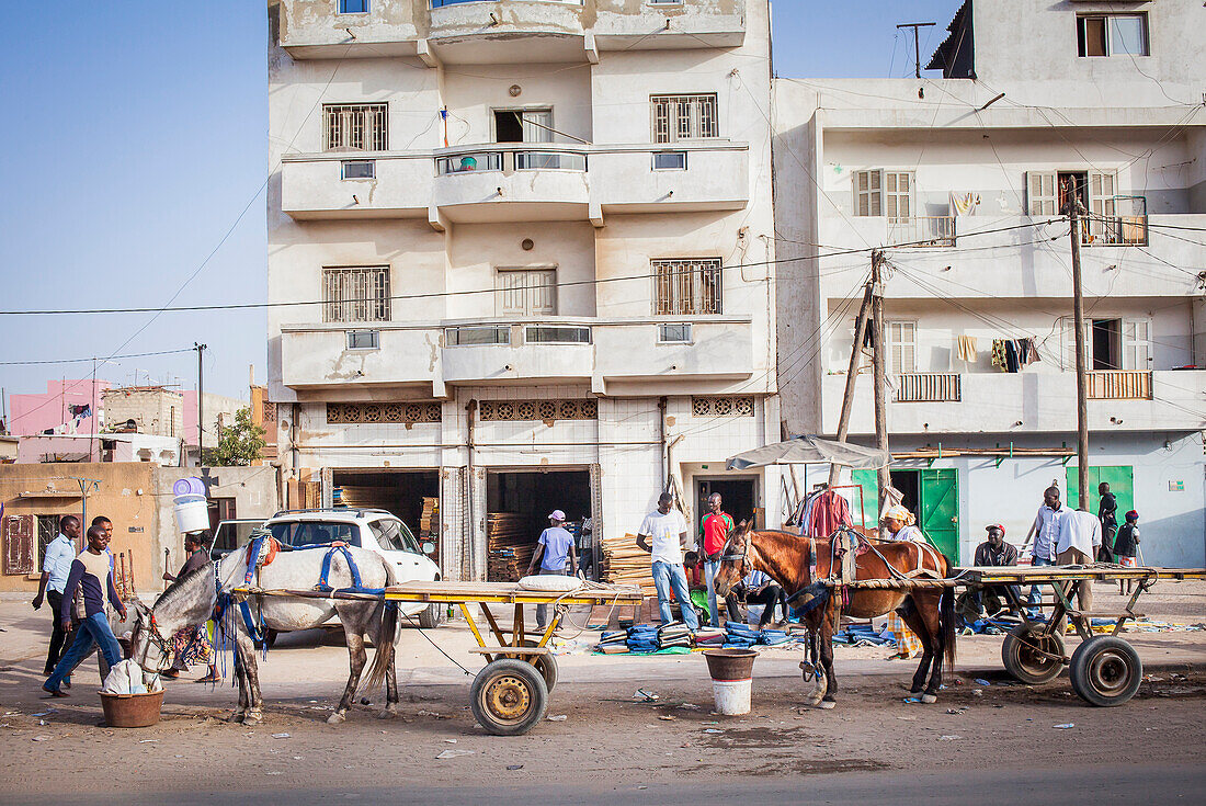 Straßenszene, Pferdekutsche, Dakar, Senegal